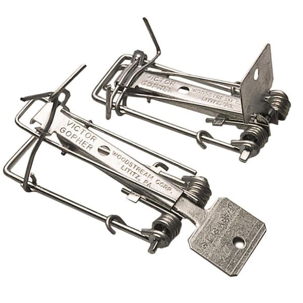 Victor EasySet Gopher Trap 611 Zoro